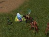 Capture 20